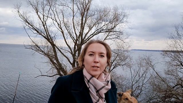 Лимитированная смесь доТЕРРА Northern escape смотреть онлайн