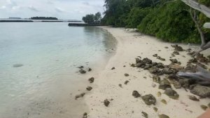 МАЛЬДИВЫ 2020. ОБЗОР ПО ОСТРОВУ BANDOS.КАКОЕ БУНГАЛО ВЫБРАТЬ НА БАНДОСЕ?