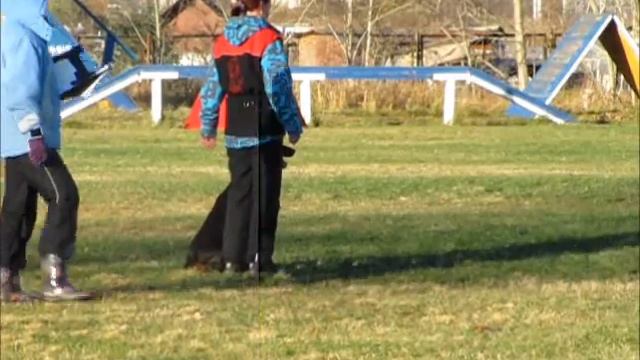 Лавра из Грациано ИПО 2(защита) 86 б смотреть онлайн