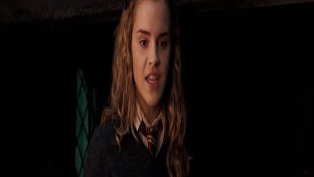 (Гарри/Гермиона)Я больше никогда....wmv смотреть онлайн