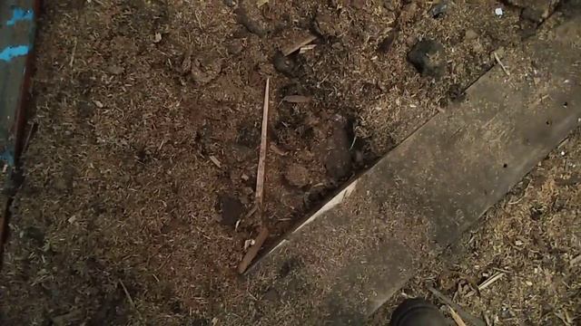 Утепление пола опилками. Дом 1953 года. В каком состоянии сейчас опилки, полы. смотреть онлайн