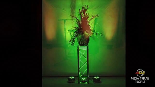 American DJ Mega Tripar Profile LED Par Light смотреть онлайн