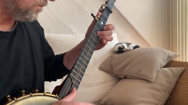 Gustl hört Bonnie Prince Charlie - Clawhammer Banjo смотреть онлайн