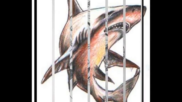 Татуировки с акулами смотреть онлайн