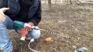 Как удалить пень (химический способ).