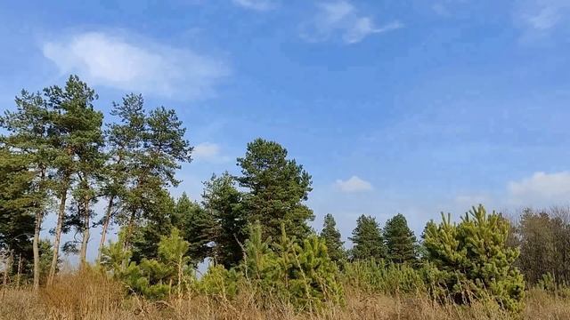 Когда нельзя наводить порядок в доме / или квартире /. 7 главных запретов... смотреть онлайн