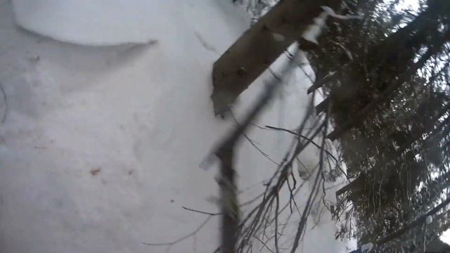 Дивногорск 2016-2017. Снегоход.Сноуборд. смотреть онлайн