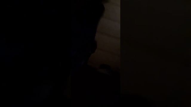 part 1 of my cousin getting hacked part 2 is going to be a song about her смотреть онлайн
