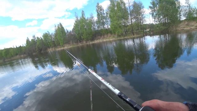 Рыбные Похождения