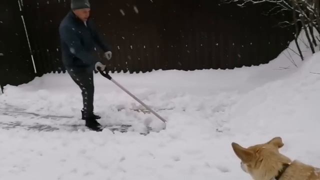 ПОДМОСКОВНАЯ СНЕЖНАЯ СКАЗКА ОТ ЛАРИСЫ ЛЕКСИ. смотреть онлайн