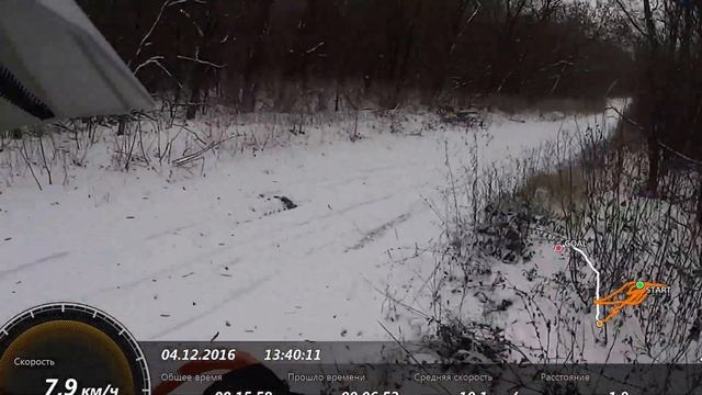 Прогулка по щепкинскому лесу. смотреть онлайн