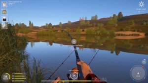 рр4! Сура Толстолобик пёстрый на 42кг+сазан недотроф))