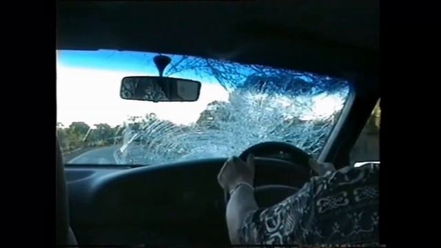 Unfall mit Wallaby смотреть онлайн