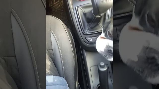 кнопка старт/стоп и логика её работы. LADA Vesta 2023 Life смотреть онлайн