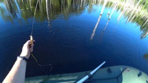 Рыбалка в Карелии на диком щучьем озере