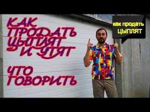 Как МОЖНО продать ЦЫПЛЯТ и УТЯТ, ярмарка, общение по ТЕЛЕФОНУ