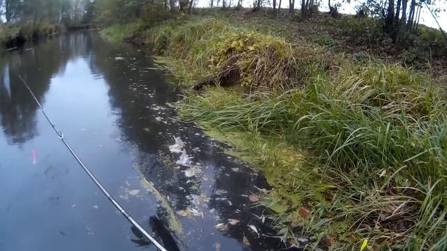 Жор щуки в октябре. Ловля на крупные приманки смотреть онлайн