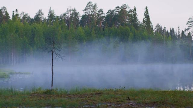 Dan Gibson’s Solitudes - Splash of the Paddle | Lakeside Retreat смотреть онлайн