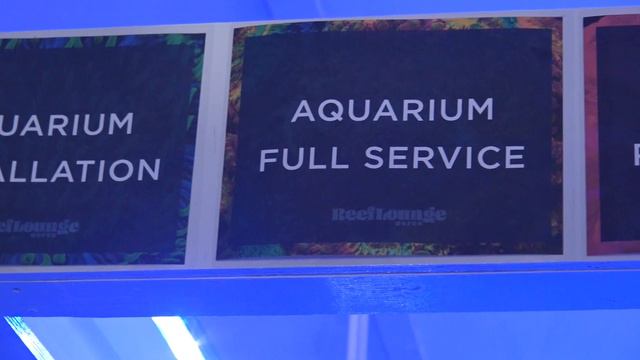 The Reef Lounge Experience смотреть онлайн