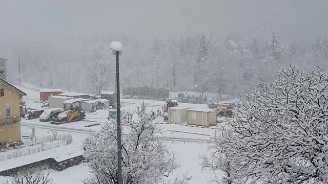 02.03.20 У нас зацвёл абрикос. Швейцария. смотреть онлайн