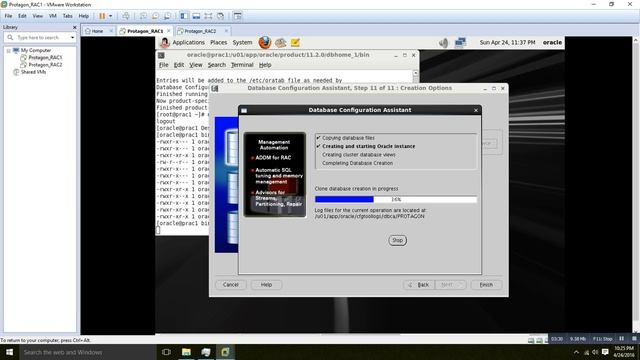 Oracle RAC Database Creation смотреть онлайн