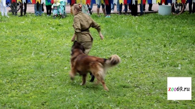 Майский вальс с собакой на Зоофестивале в Твери смотреть онлайн