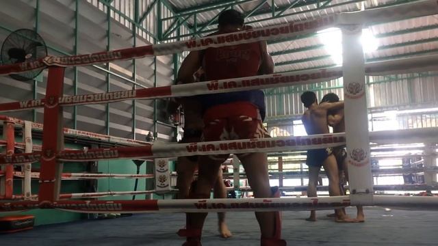 Анатолий Шпонарский Санчай муай тай смотреть онлайн