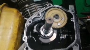 Разбор мотопомпы Чемпион.