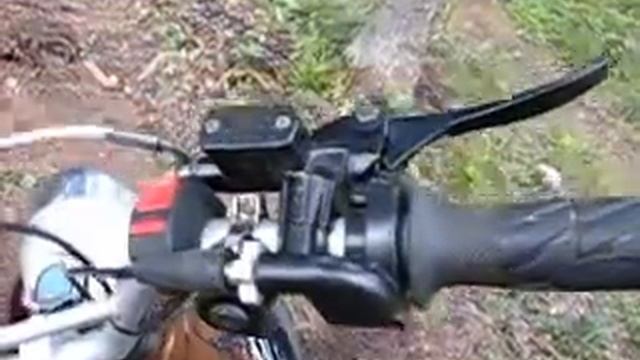 Пульты с выключателями на питбайк IRBIS TTR-125 смотреть онлайн