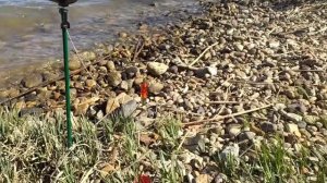 Рыбалка на Егорлыкском водохранилище. Карп проглядывается! Апрельский кайф! 2.04.2023