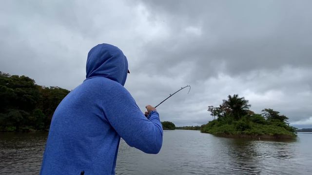 UM DIA VOCÊ PRECISA DESAFIAR ESSE PEIXE ! VOCÊ IRÁ PIRAR смотреть онлайн