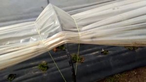 Тоннели для клубники из агроспана и пленки.