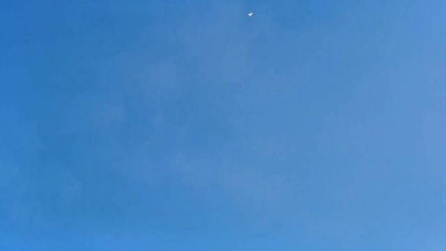 Серпастые голуби Шумейкина А. Н. часть 8 смотреть онлайн