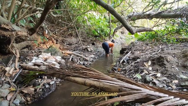 Tangkap ikan pakai Jaring Baru Hasil nya tidak mengecewakan смотреть онлайн