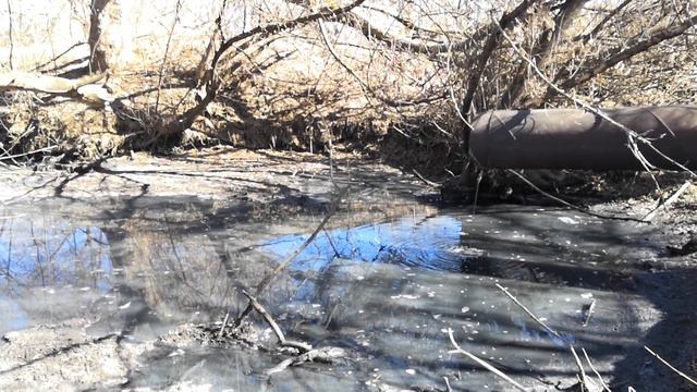 Сброс нечистот в Мышегу продолжается. 03.04.2019 смотреть онлайн