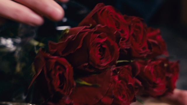 Роза Madam Red и Ever Red из Кении | Плантация Baraka Roses смотреть онлайн