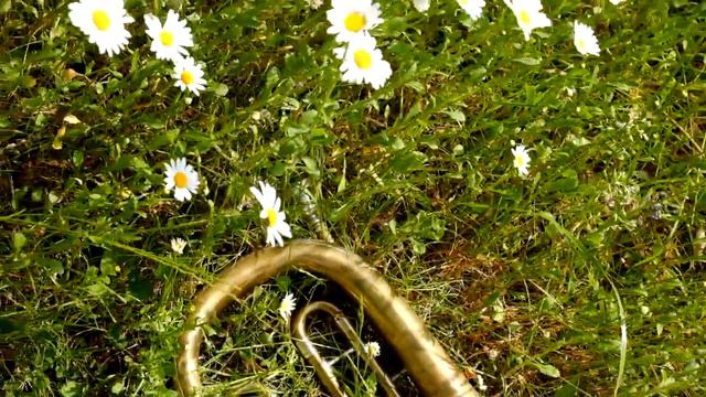 "Loreley" with historic low-brass quartet смотреть онлайн