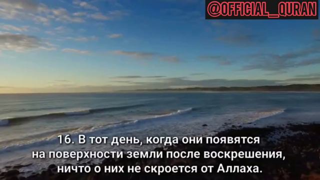 Сура 'афир смотреть онлайн