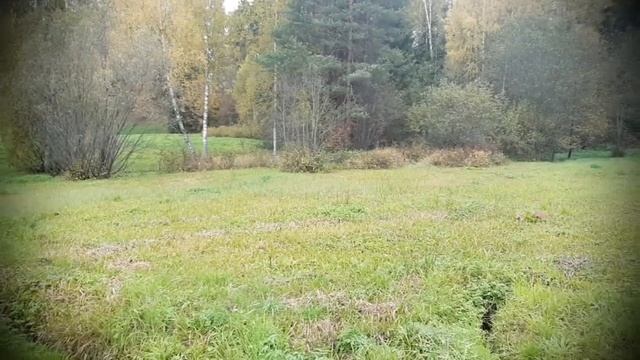 «Матушка в Купальницу по лесу ходила...» смотреть онлайн