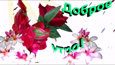Доброе утро