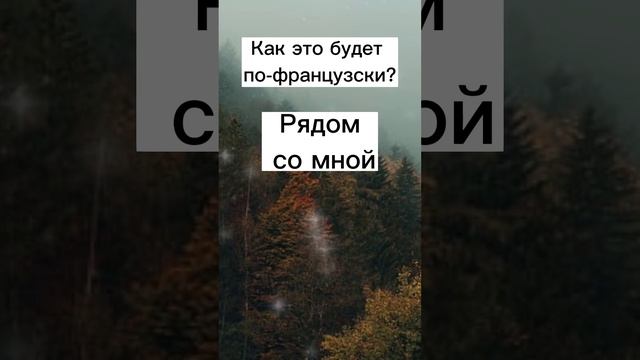 Как это будет по-французски? Переведи слова. #французский#shorts смотреть онлайн