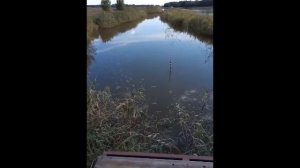 Место для рыбалки ст. Новотитаровская