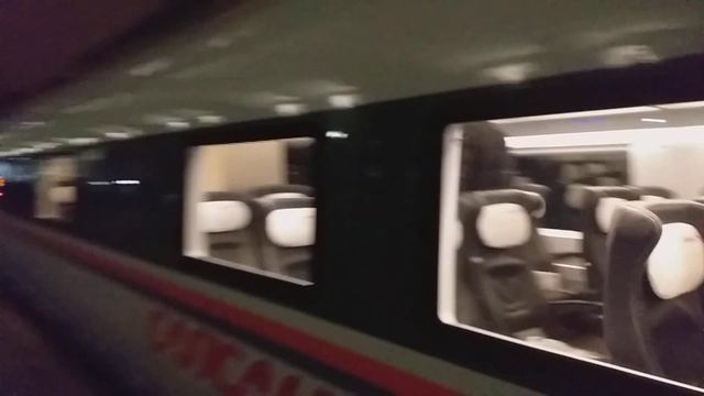 Сапсан прибывает на Московский вокзал смотреть онлайн