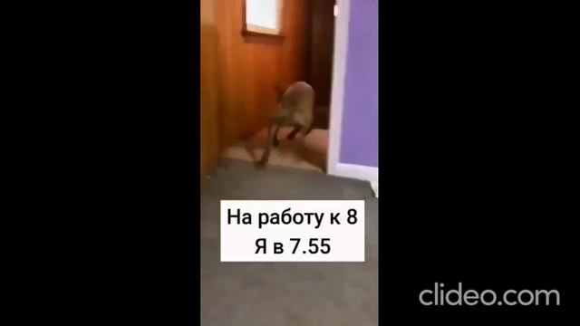 перед полдником 19.06 смотреть онлайн