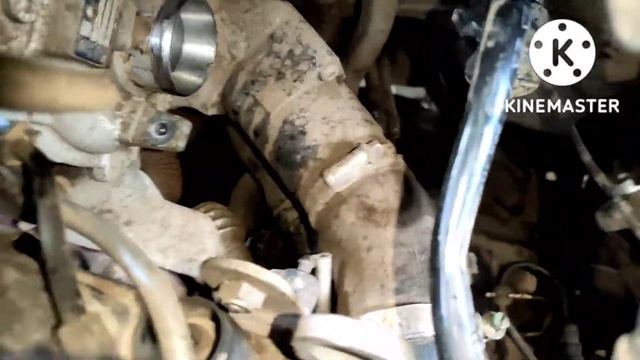 Skoda Laura P001600 P256400 P242500 Fault Code #nashik #maharashtra