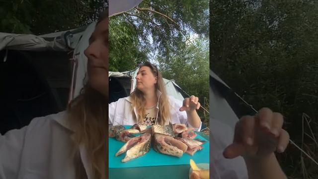 Влог/ как мы ездили отдыхать на речку Дон/ Мелеховская станица смотреть онлайн