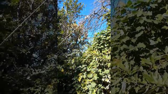 Когда нужны дрова, а мужики на рыбалке. 1-я серия смотреть онлайн