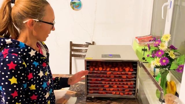 Обзор дегидратора Oberhof Fruchttrockner C-72 смотреть онлайн