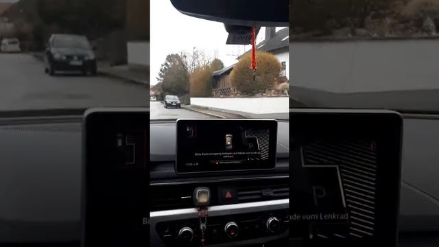 Audi A4 2016 Park Assist смотреть онлайн