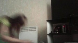 моя гимнастика